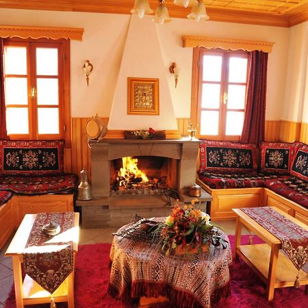 Hotel Anax Metsovo Bagian luar foto