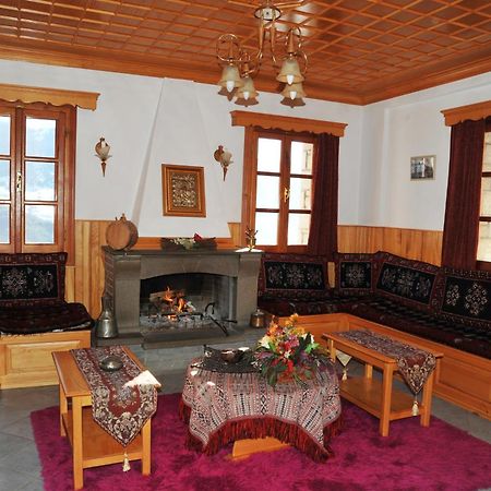 Hotel Anax Metsovo Bagian luar foto