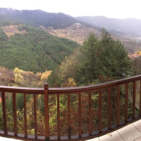 Hotel Anax Metsovo Bagian luar foto