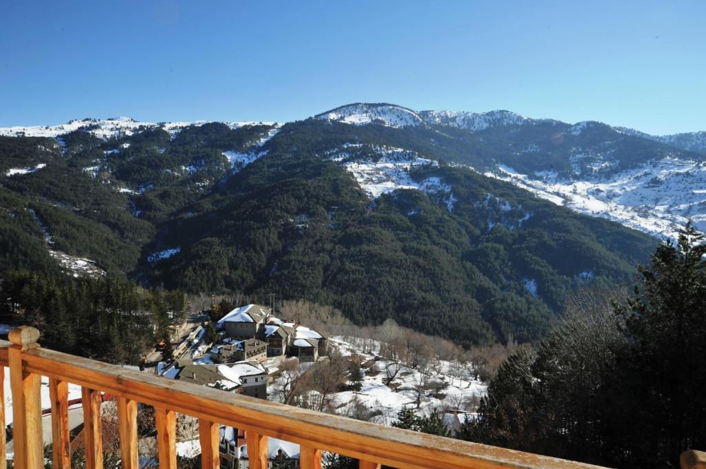 Hotel Anax Metsovo Ruang foto