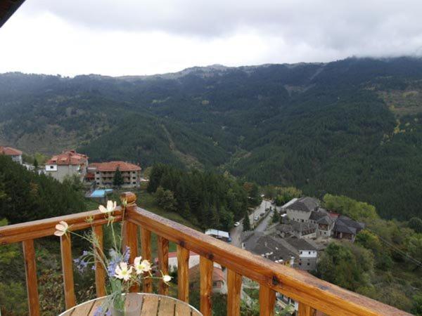 Hotel Anax Metsovo Bagian luar foto