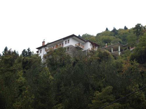 Hotel Anax Metsovo Bagian luar foto