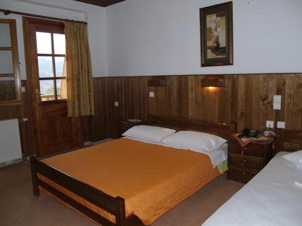 Hotel Anax Metsovo Bagian luar foto