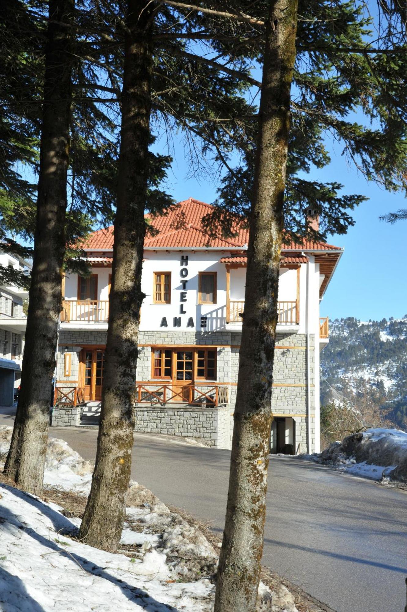 Hotel Anax Metsovo Bagian luar foto