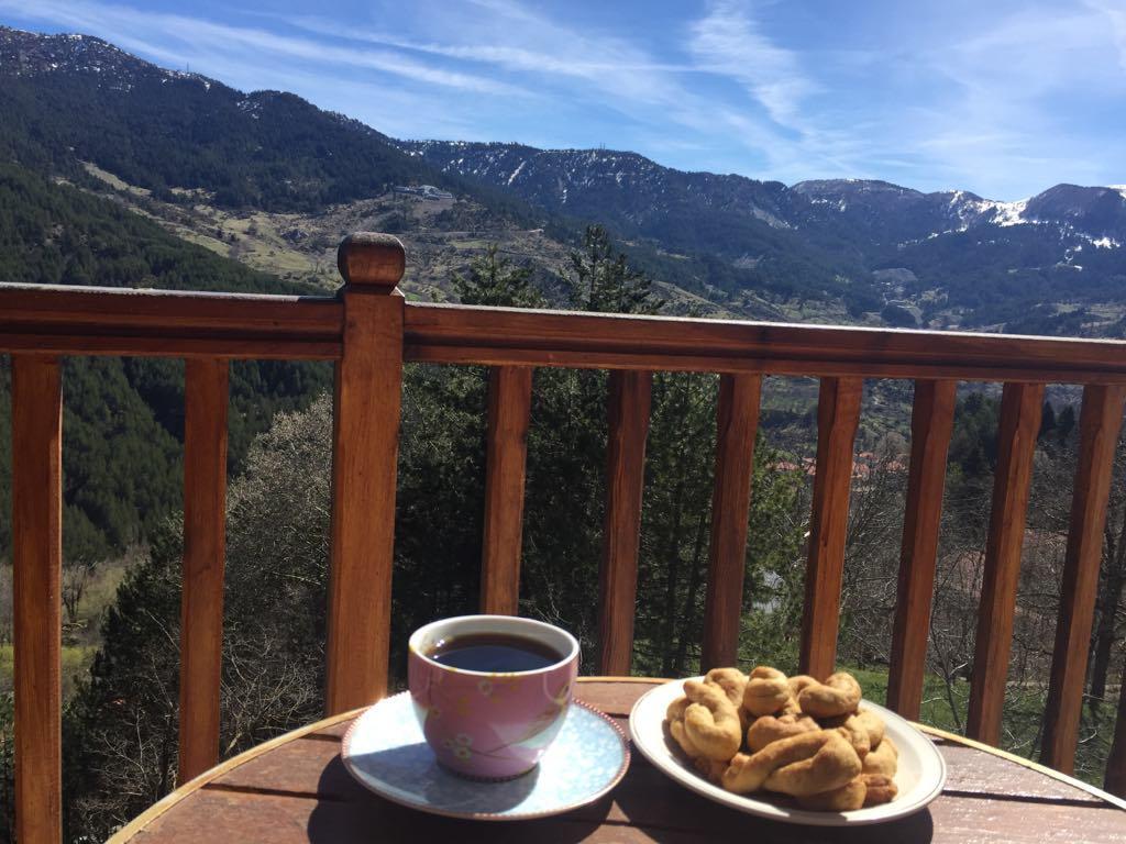 Hotel Anax Metsovo Bagian luar foto