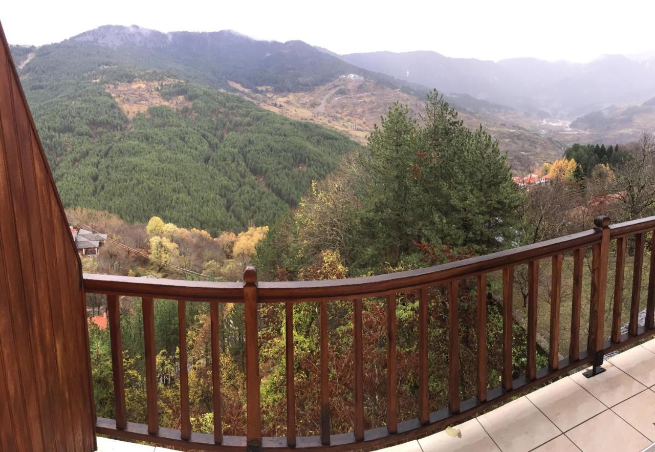 Hotel Anax Metsovo Bagian luar foto