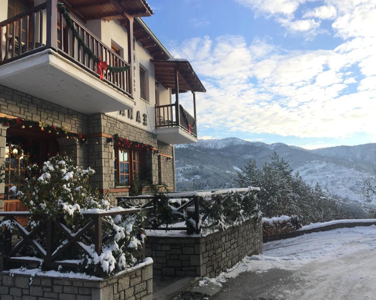 Hotel Anax Metsovo Bagian luar foto